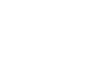 LogoH2HWit